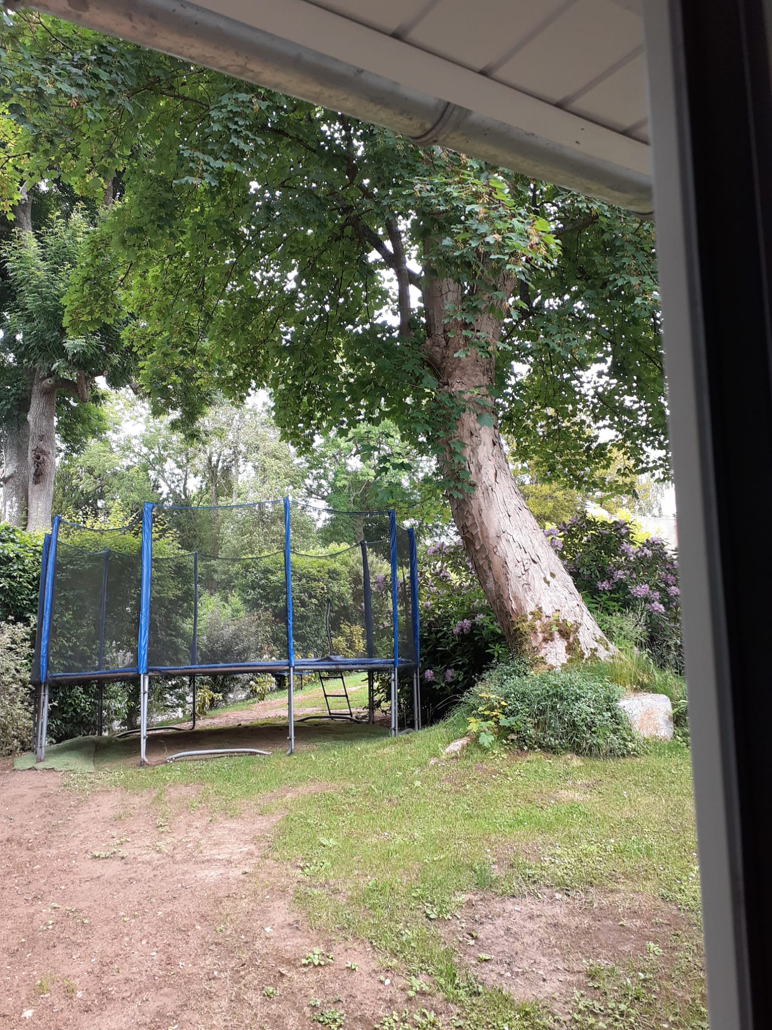 Cottage of the little cousins